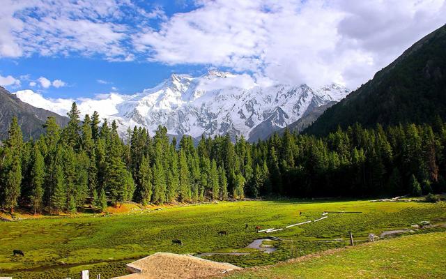 Fairy Meadows National Park